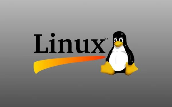 Linux 초보자를 위한 기초 명령어와 텍스트 편집기 사용법 강의 썸네일